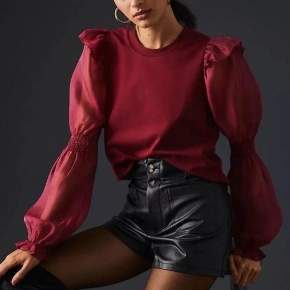 NWT Anthropologie Organza Sheer Long Sleeve Blouse Top